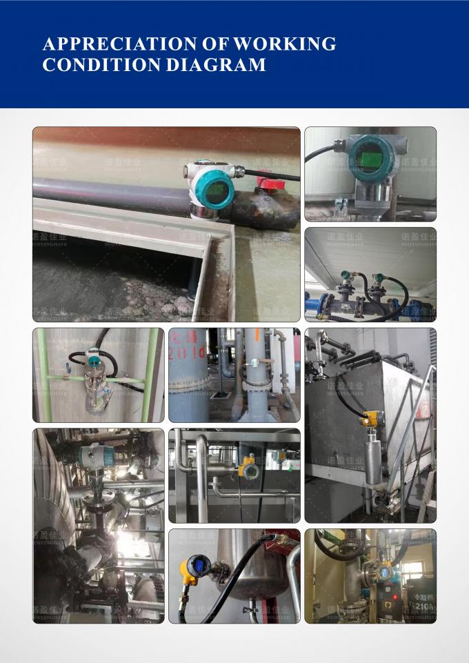 NYDE Fork Density Meter für die Vermischung von Viskosen und geringleitenden Medien 1