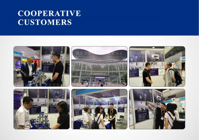 NYDE Fork Density Meter für die Vermischung von Viskosen und geringleitenden Medien 3