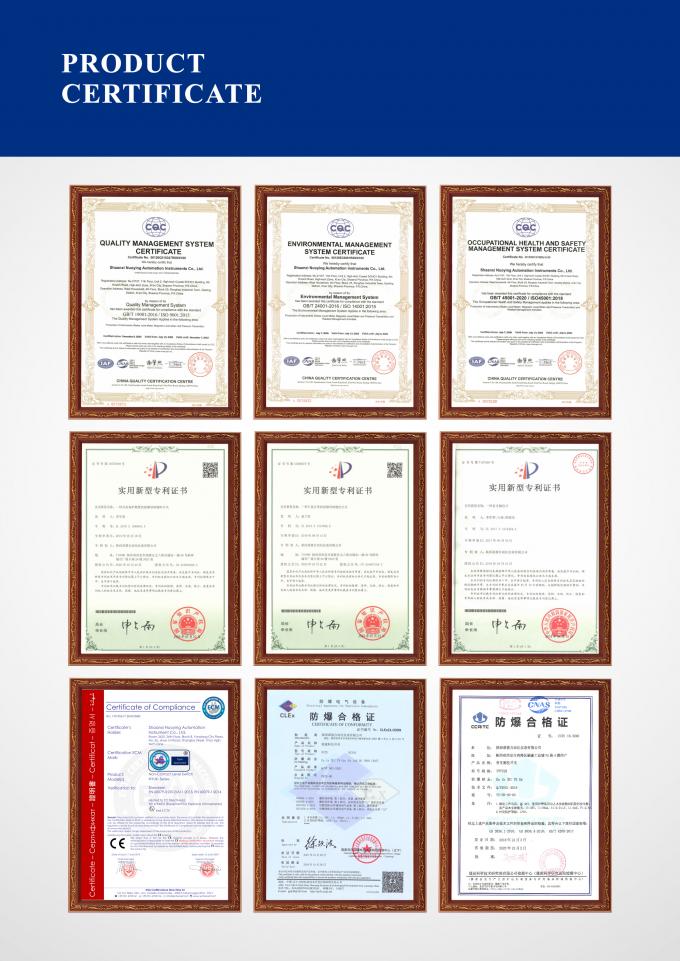 RF-Kapazitätseinstufungsschalter für die Flüssigkeitsmessung 7