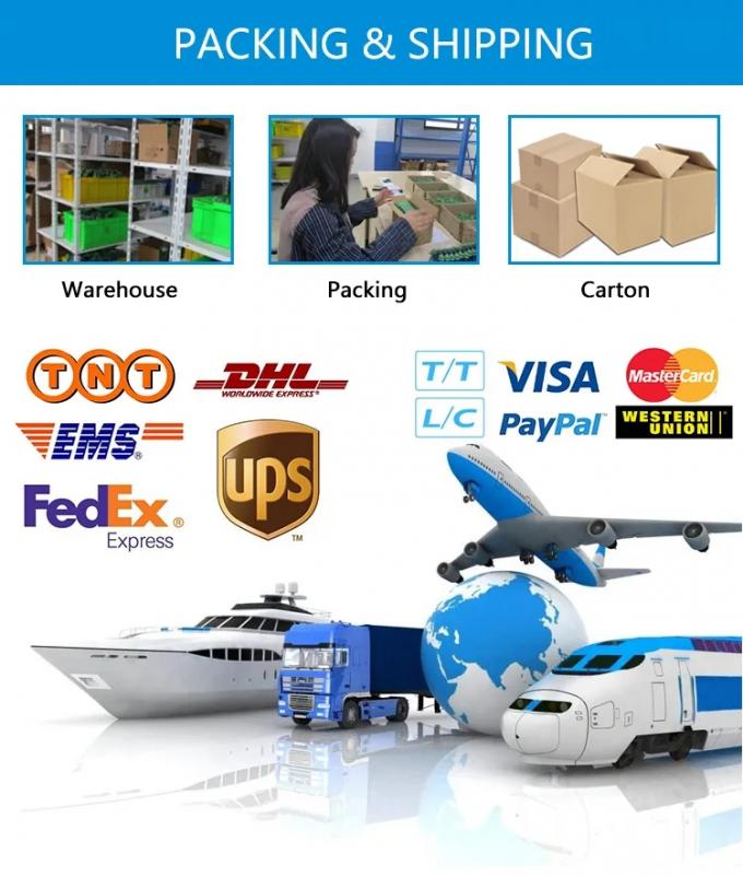 Pt1000 Pt1000 Pt100 RTD Dampf-Industrie-Thermometer Digitale Temperatur Thermoelementprobe Temperatursensor Wandler Sender 4