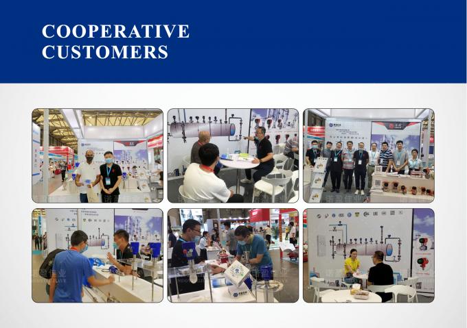 Pt1000 Pt1000 Pt100 RTD Dampf-Industrie-Thermometer Digitale Temperatur Thermoelementprobe Temperatursensor Wandler Sender 8