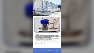 NY3051-4 Doppelflansch-Drucktransmitter Heißer Verkauf